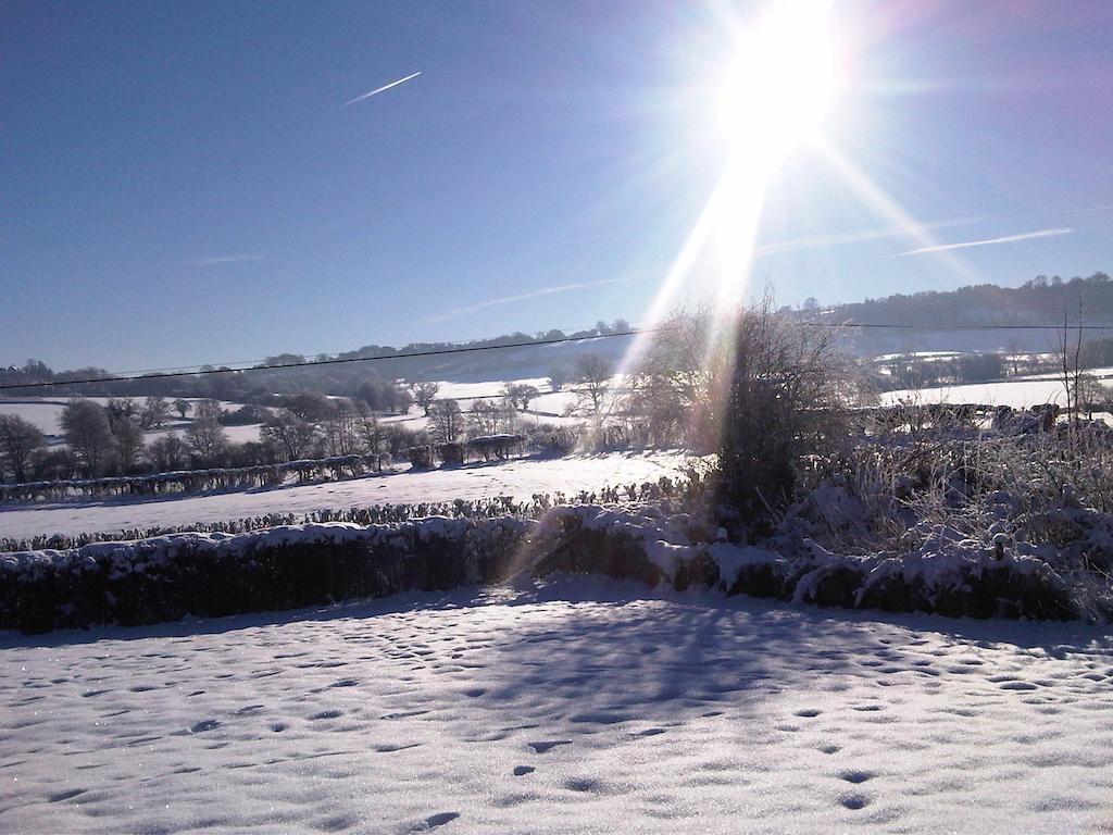 Upper Letton Farm Bed & Breakfast Leintwardine Dış mekan fotoğraf