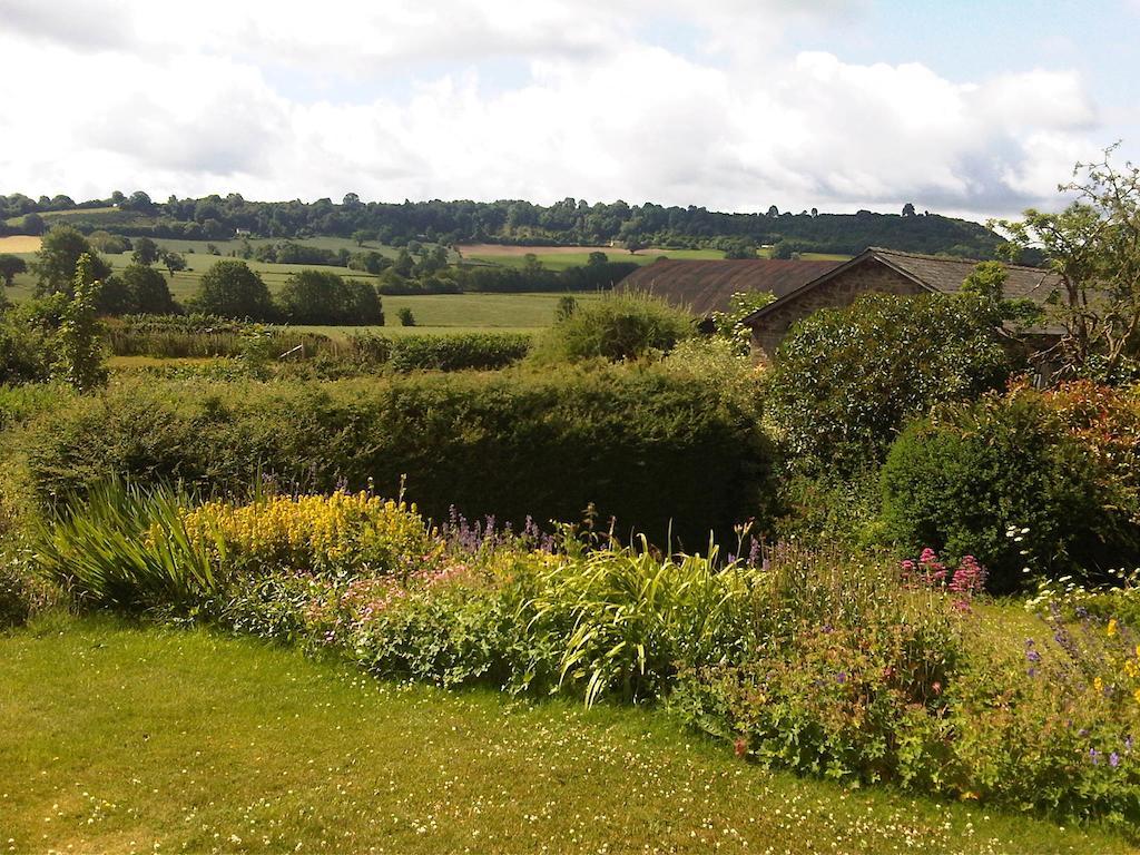 Upper Letton Farm Bed & Breakfast Leintwardine Dış mekan fotoğraf