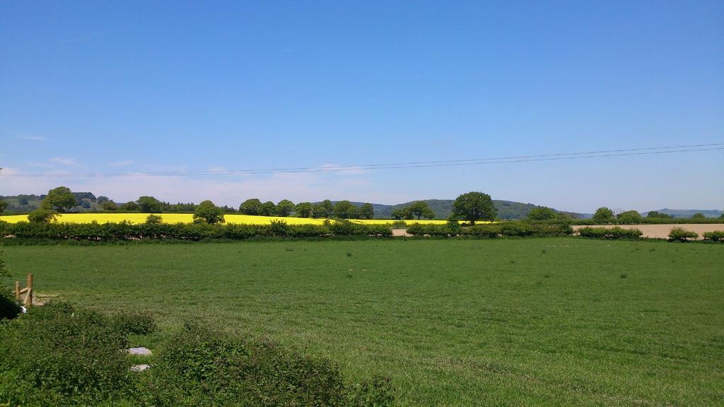 Upper Letton Farm Bed & Breakfast Leintwardine Dış mekan fotoğraf