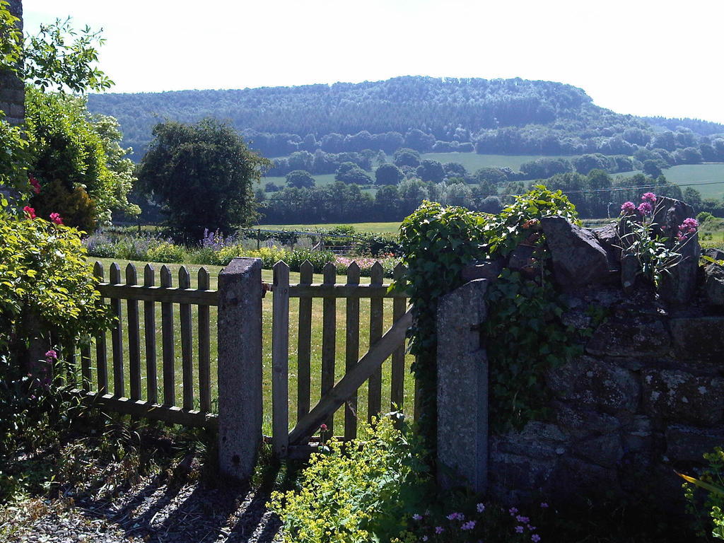 Upper Letton Farm Bed & Breakfast Leintwardine Dış mekan fotoğraf
