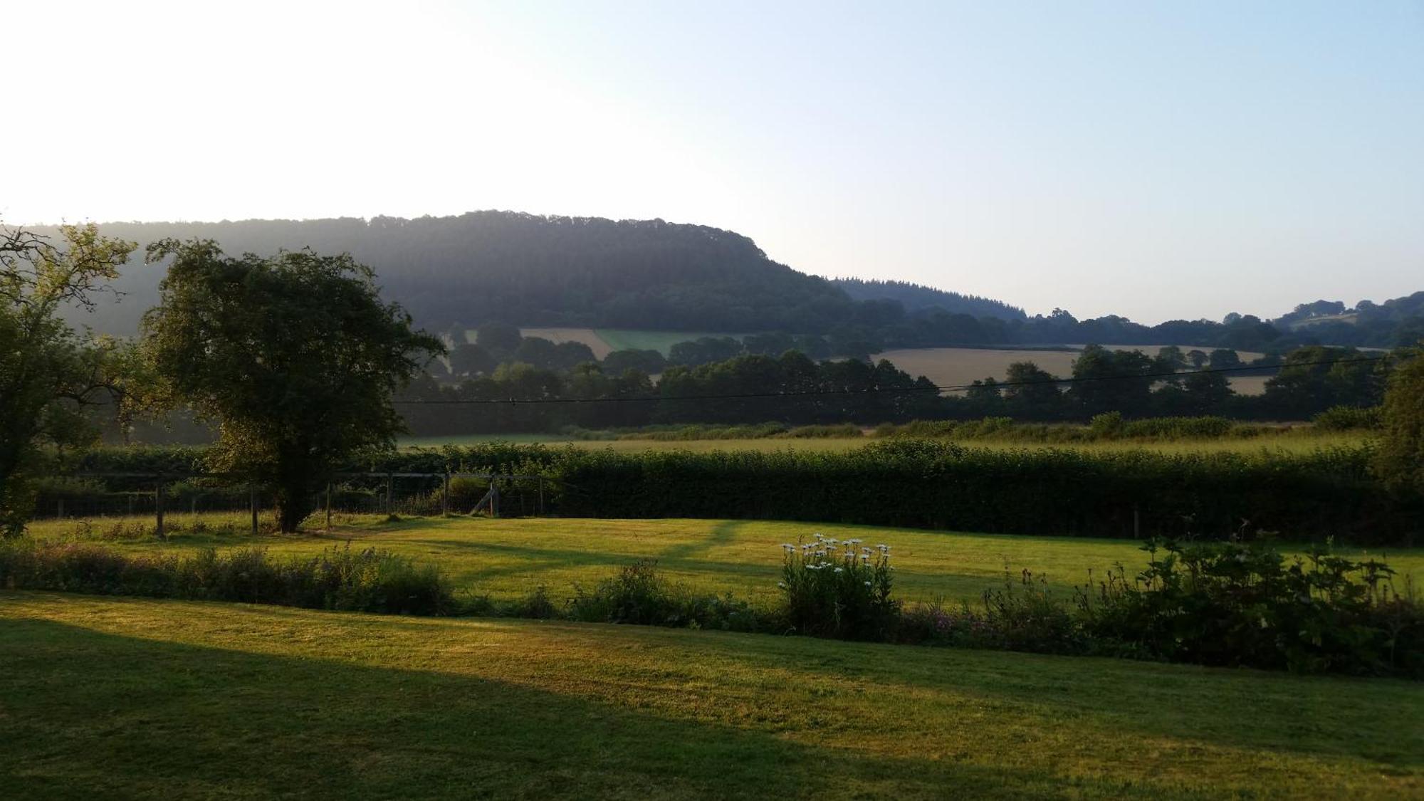 Upper Letton Farm Bed & Breakfast Leintwardine Dış mekan fotoğraf