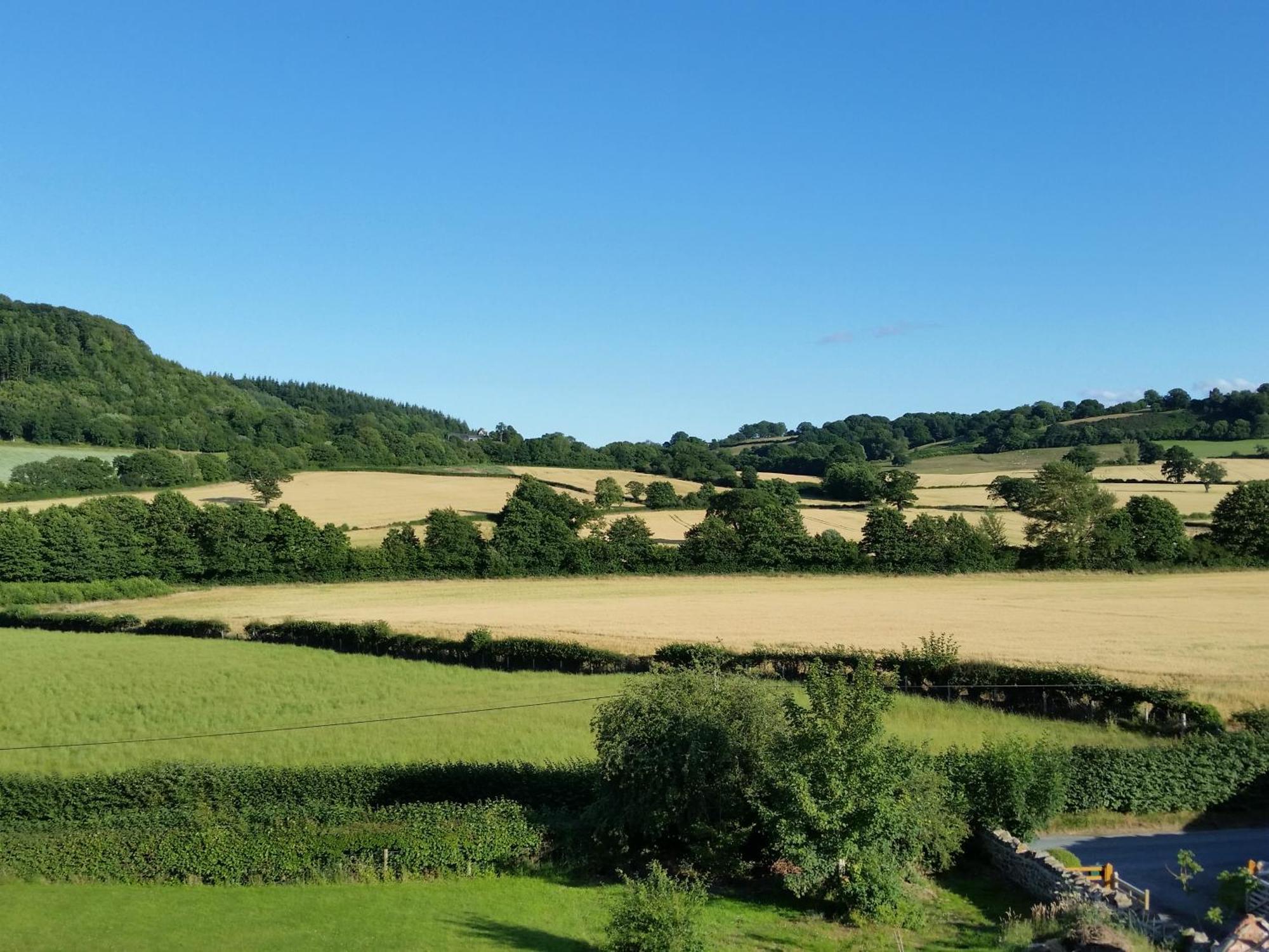 Upper Letton Farm Bed & Breakfast Leintwardine Dış mekan fotoğraf